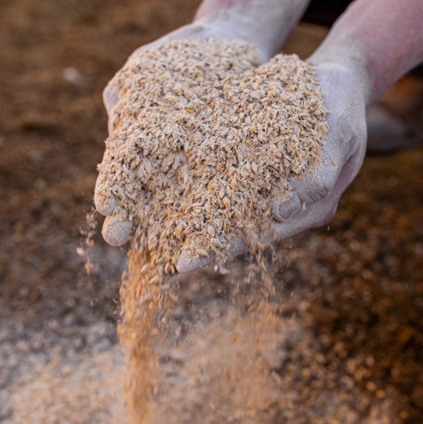 Po e palha provenientes do processamento da cevada